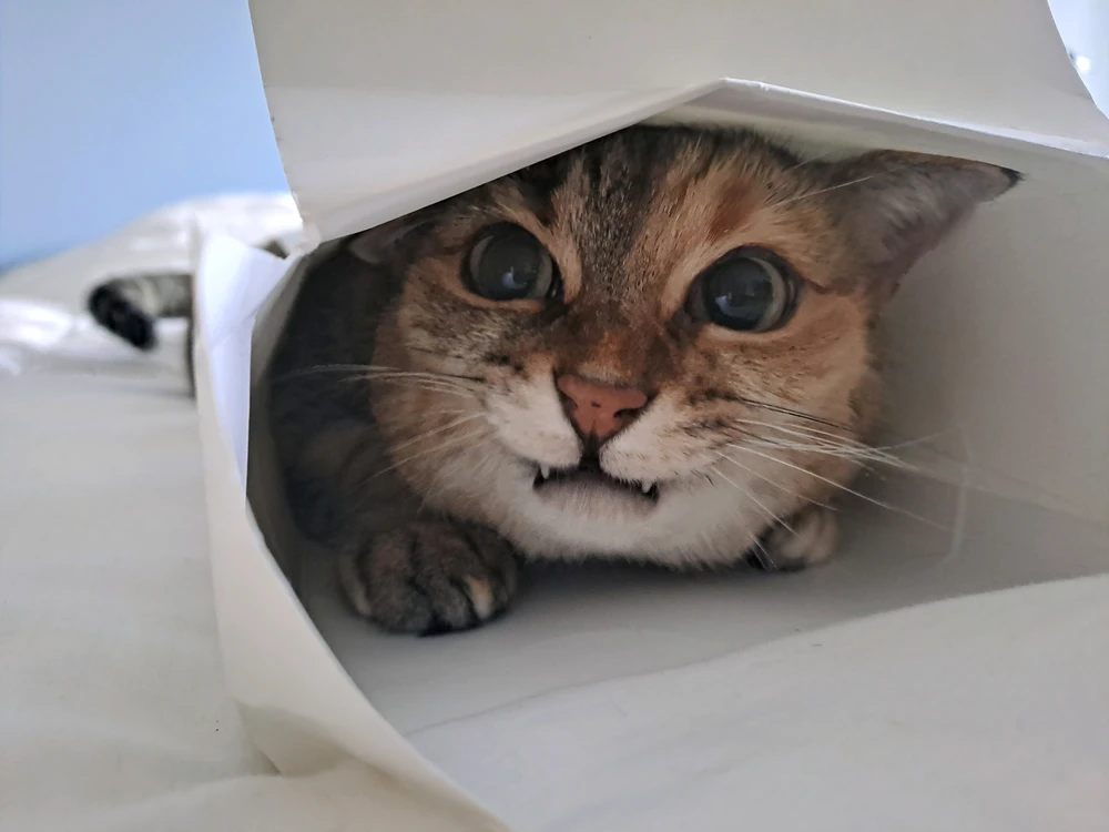 GIF uploaded by Ruben