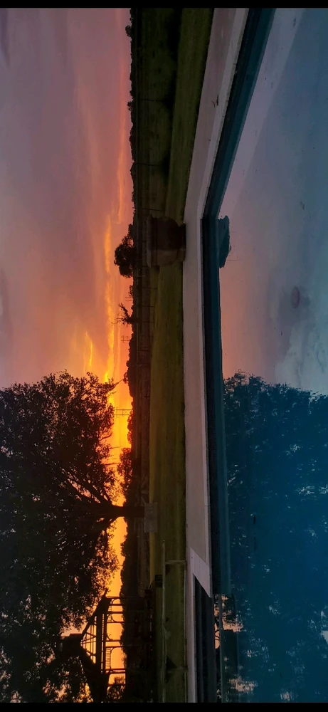 GIF uploaded by Josh