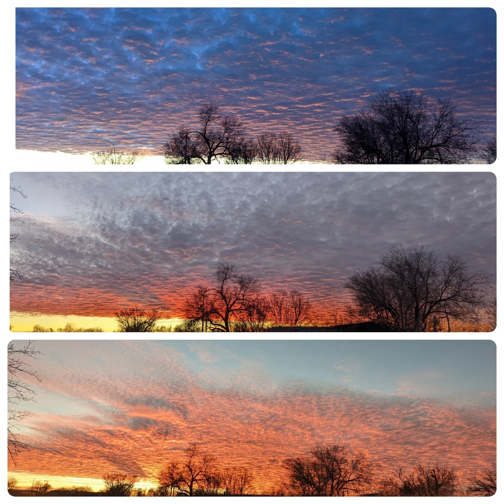 GIF uploaded by Sarah