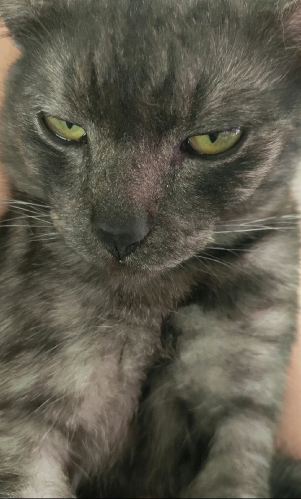 GIF uploaded by Jellyfish