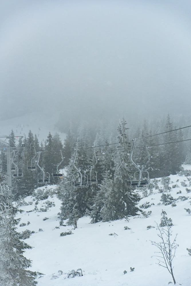Attēlu augšupielādēja Tomass