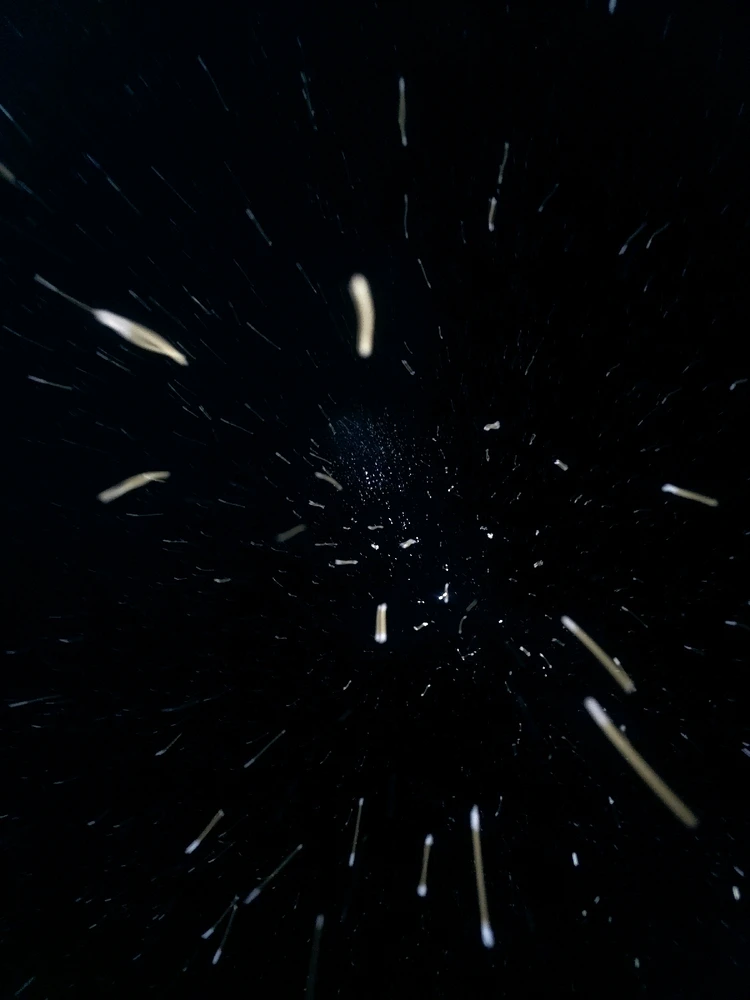 Image uploaded by Dean Berry