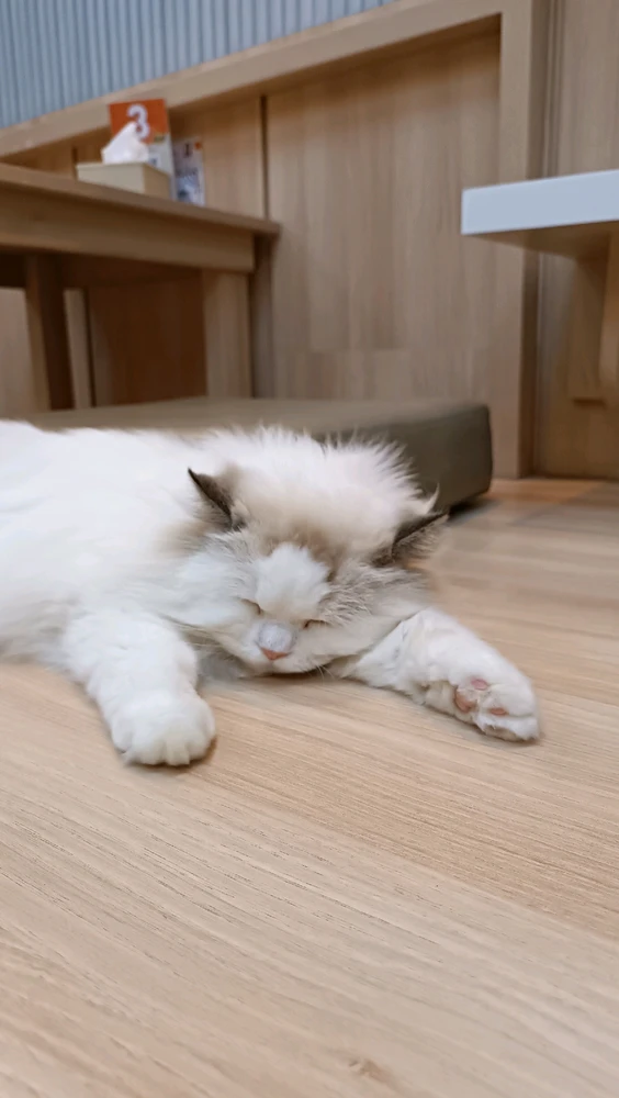 Image uploaded by Aquita