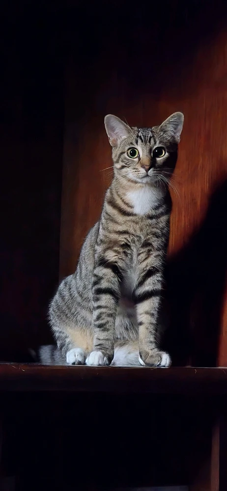 GIF uploaded by Michael