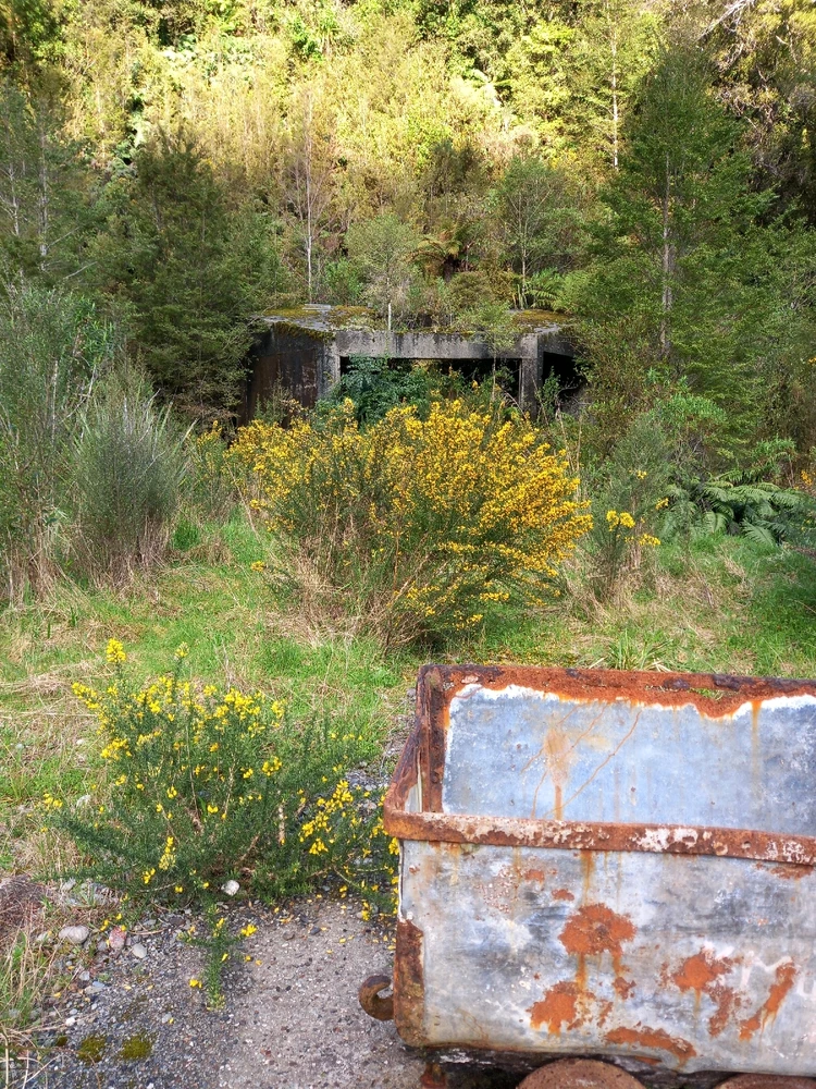 Image uploaded by Andrew