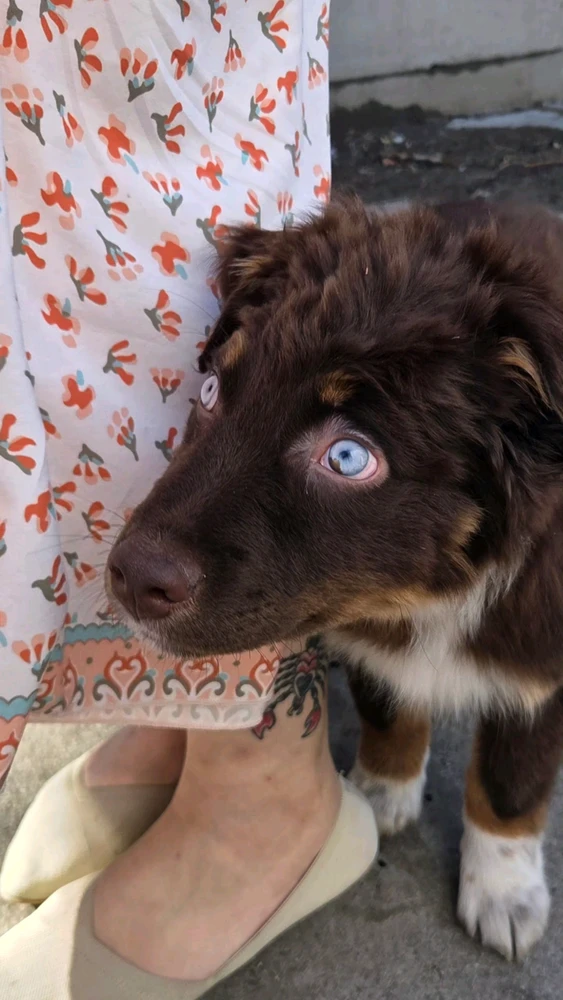 GIF uploaded by David