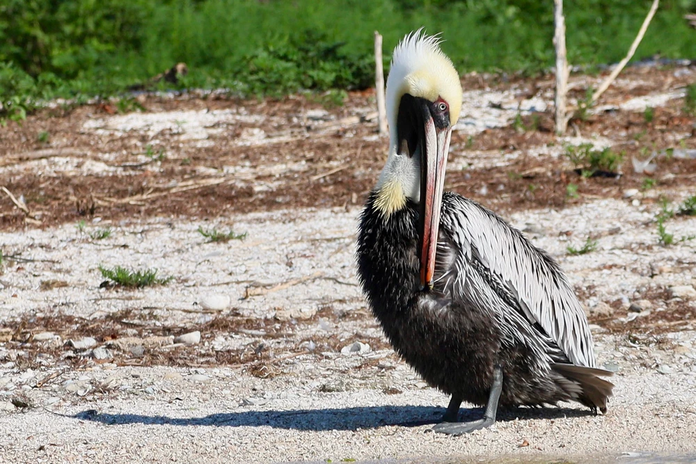 GIF uploaded by Sherlock