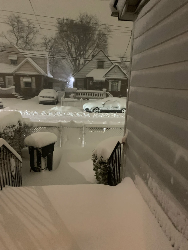 Image uploaded by Nadeen