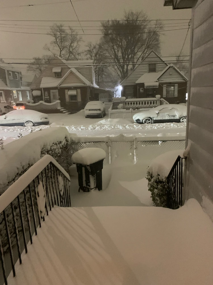 Image uploaded by Nadeen