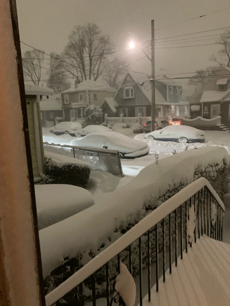 Image uploaded by Nadeen