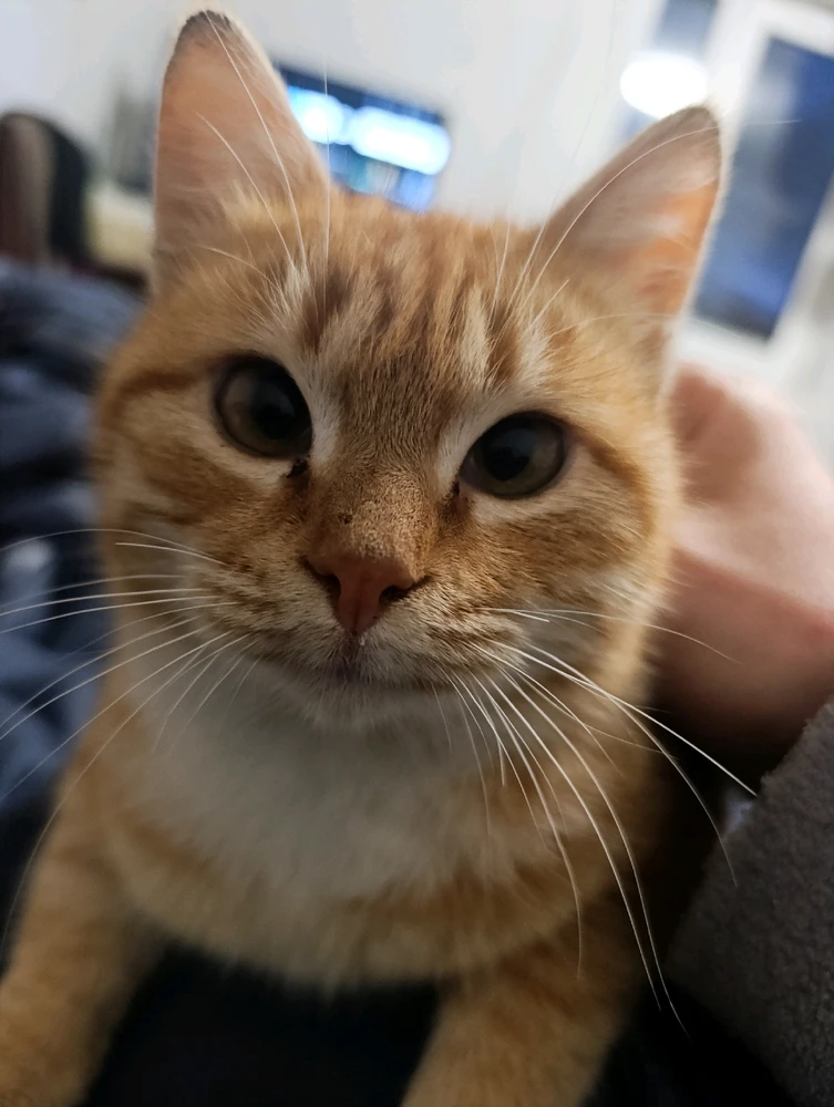 GIF загрузил Aleksandre