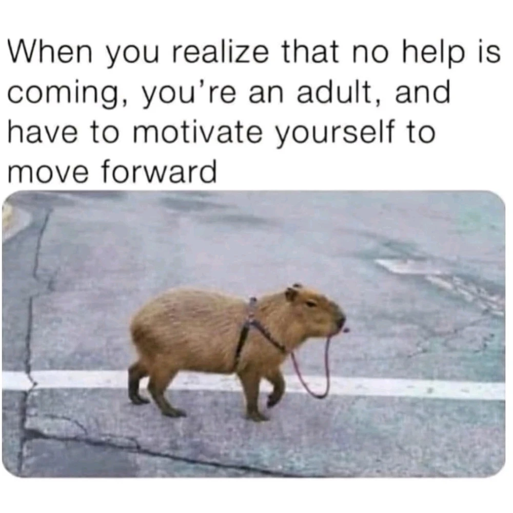 GIF uploaded by Andy