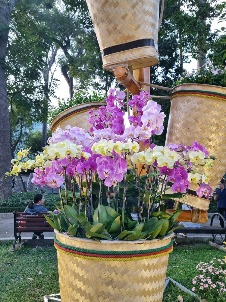 Image uploaded by Zia_