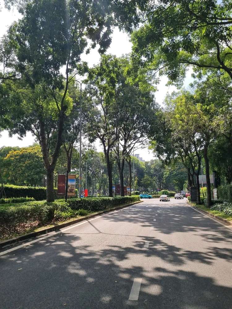 Image uploaded by Zia_