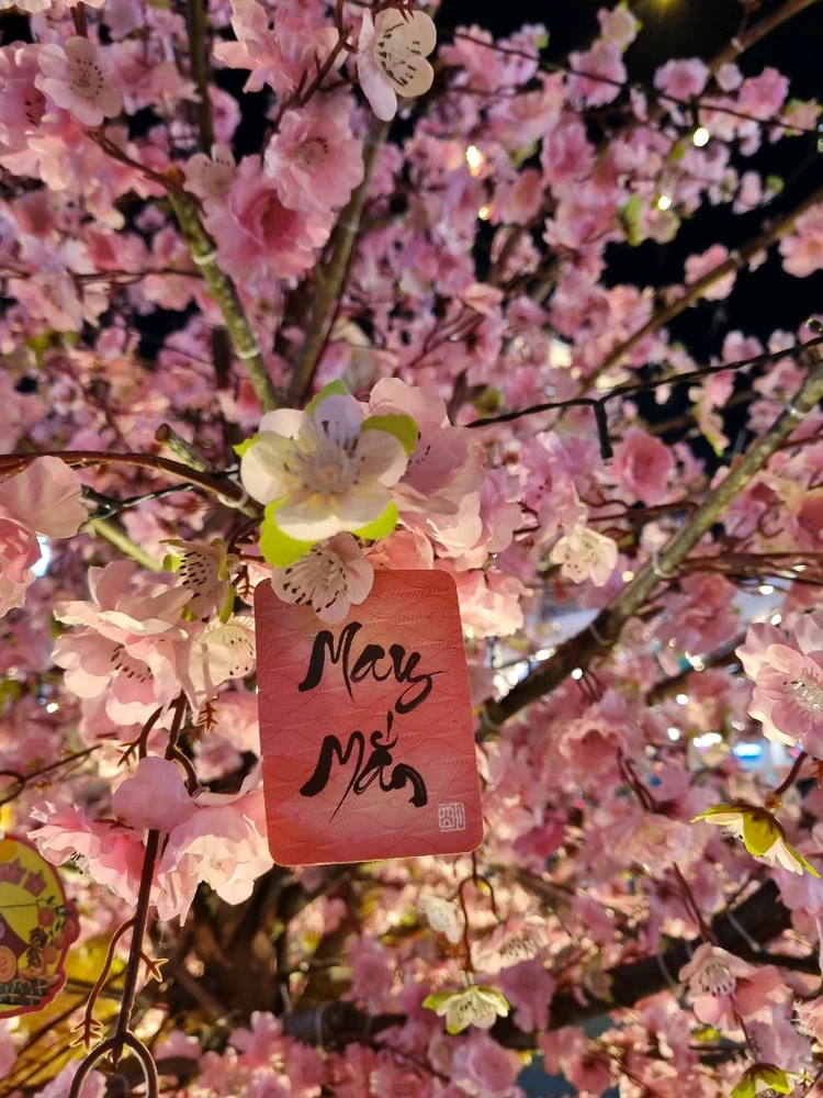 Image uploaded by Zia_