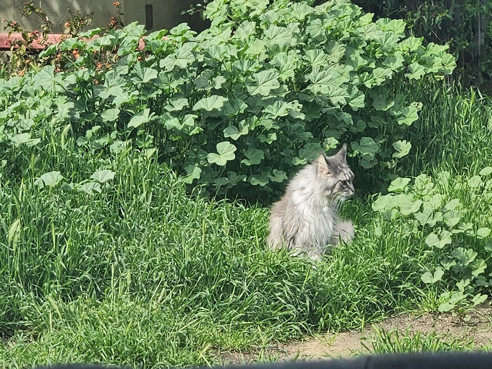 GIF uploaded by Patrick