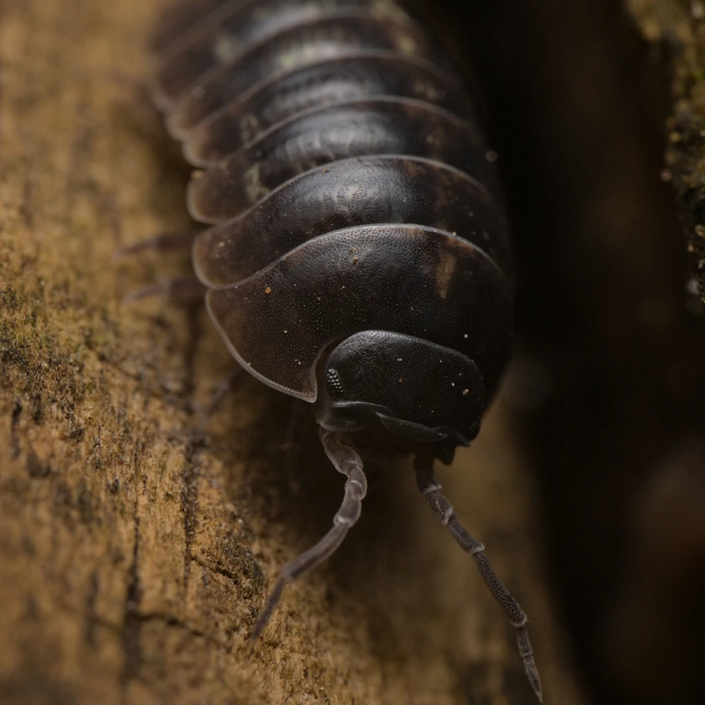 GIF uploaded by Logan