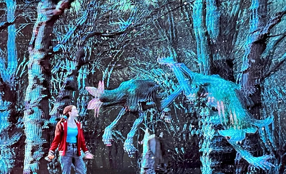 Image uploaded by Miguel