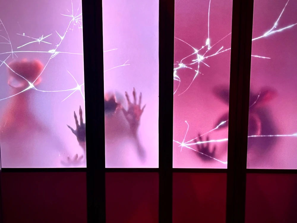 Image uploaded by Miguel