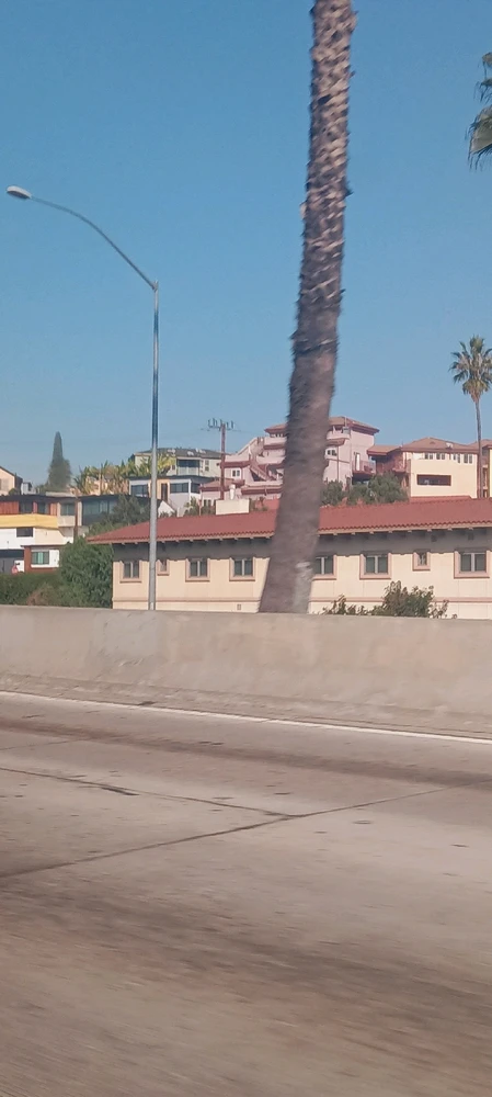 Image uploaded by Mitch