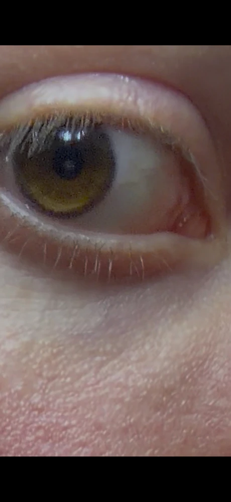 Immagine caricata da Michael