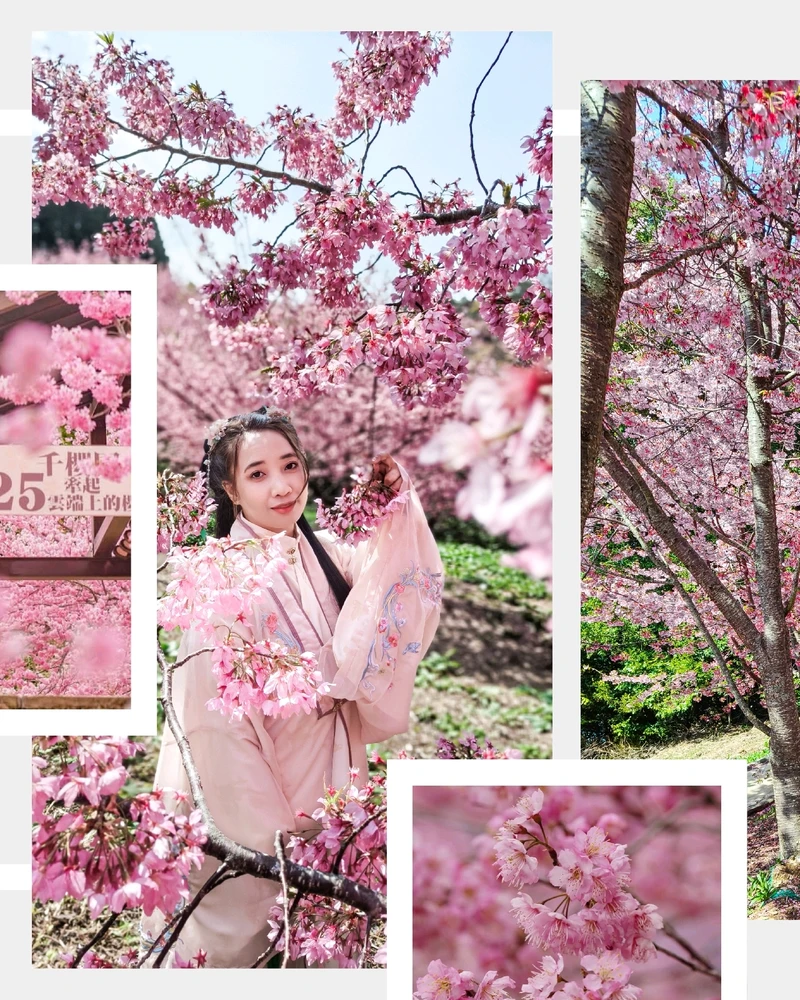 Image uploaded by Liz