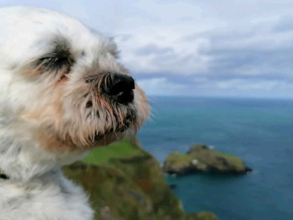 Image uploaded by Eimear