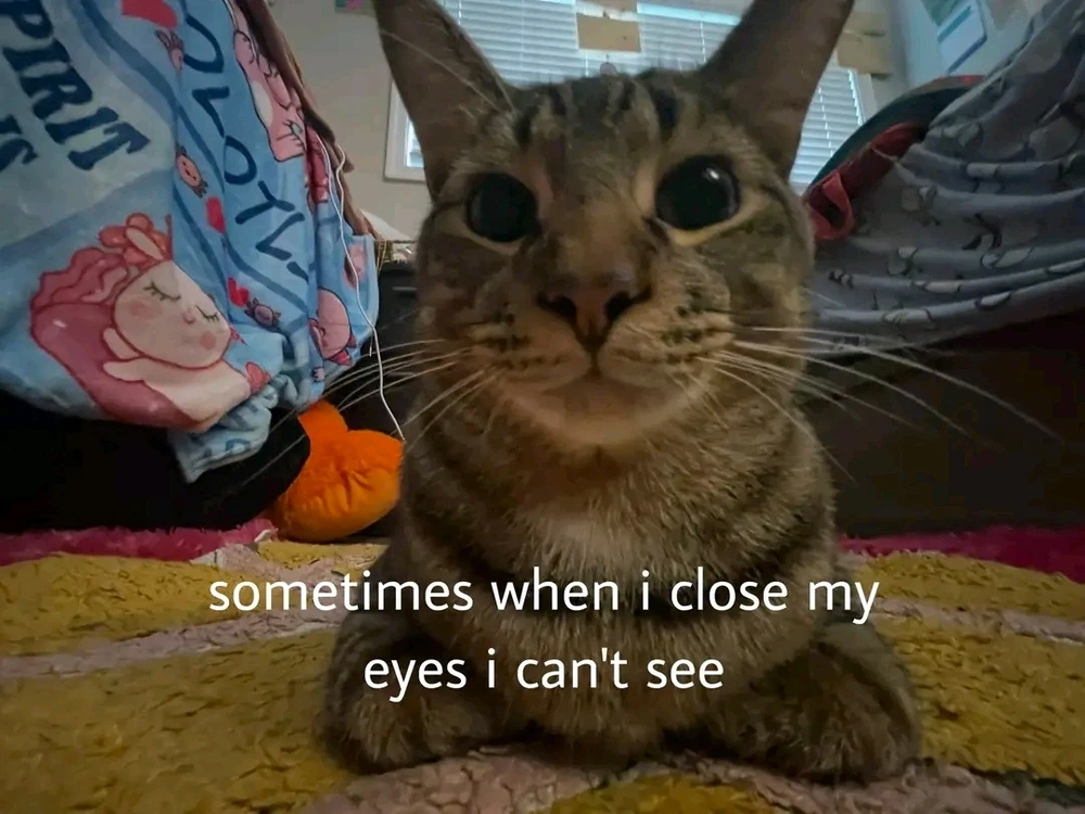 GIF uploaded by Meher