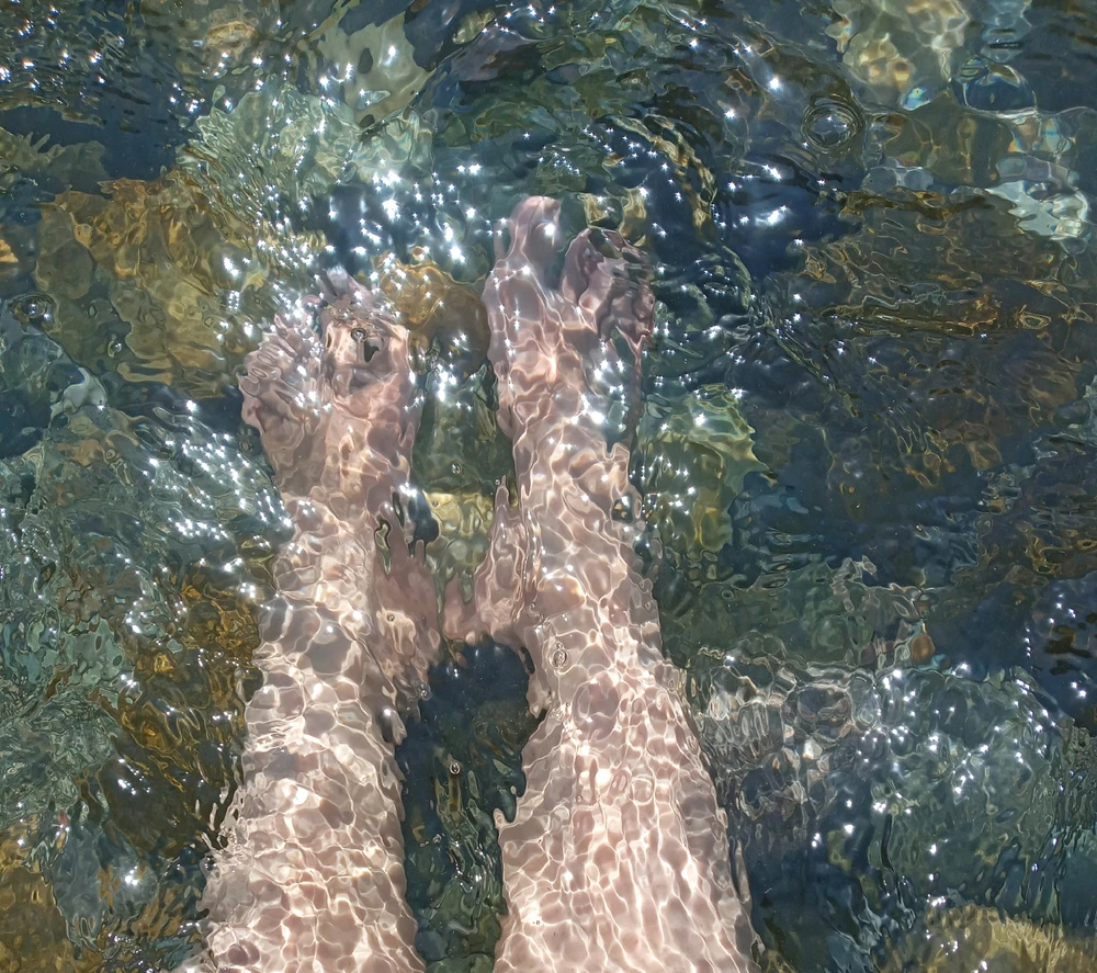 GIF diunggah dening Sin Nombre