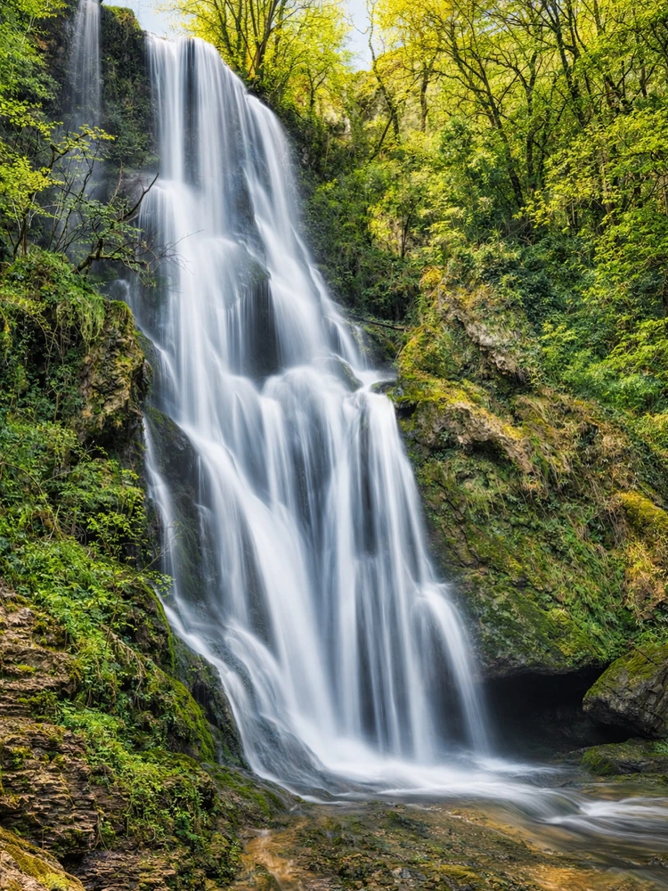 GIF ajouté par Jeremy