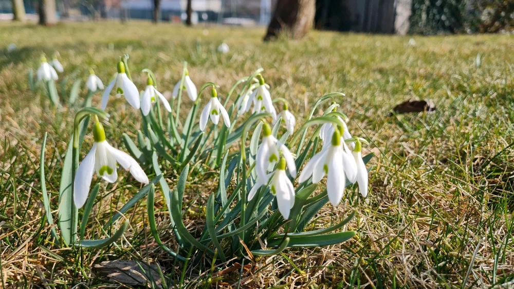 GIF uploaded by Tomas