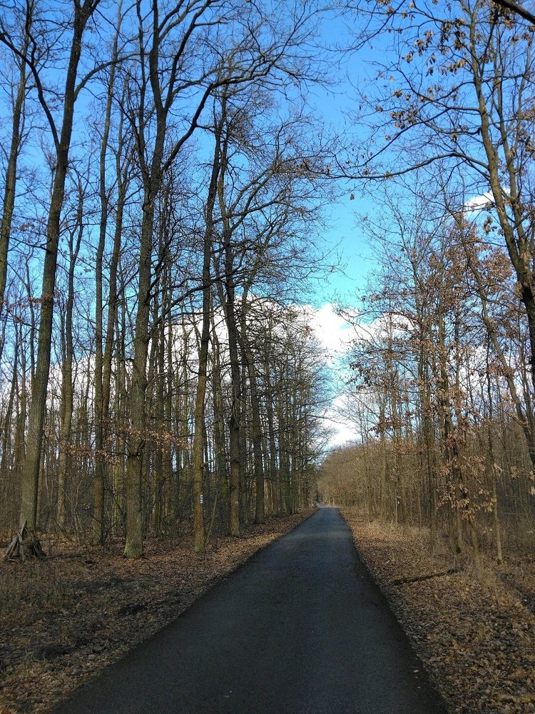 Obrázek nahrál Svatava