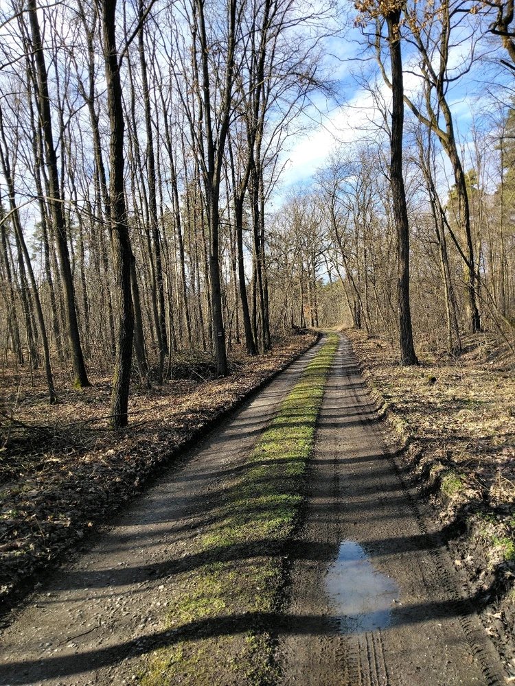 Obrázek nahrál Svatava