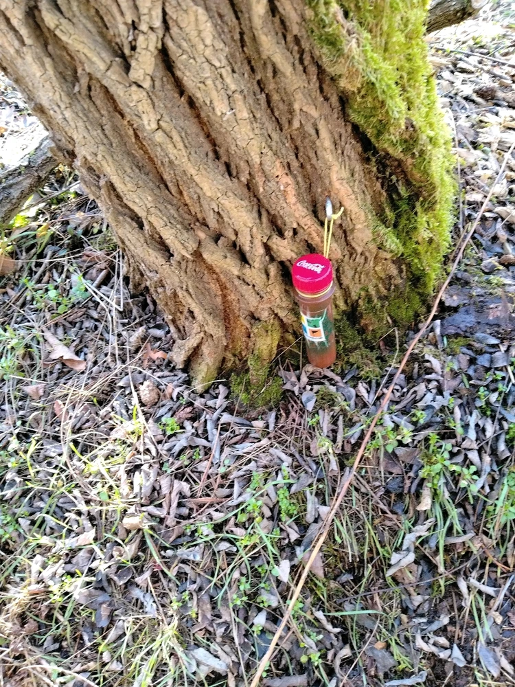 Obrázek nahrál Svatava