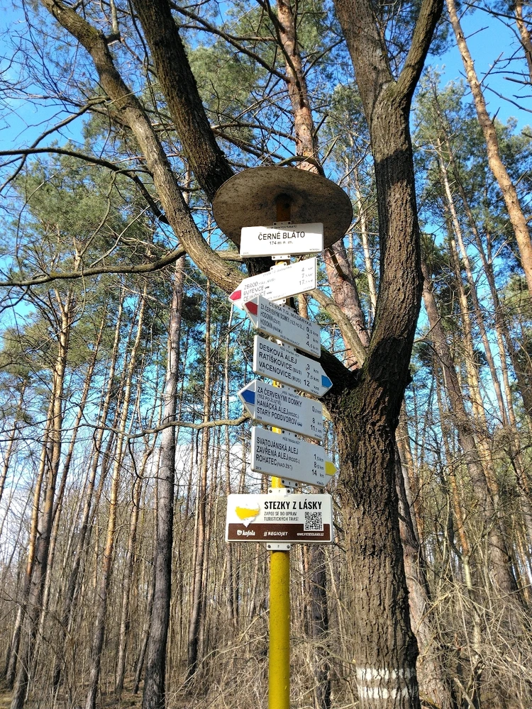 Obrázek nahrál Svatava