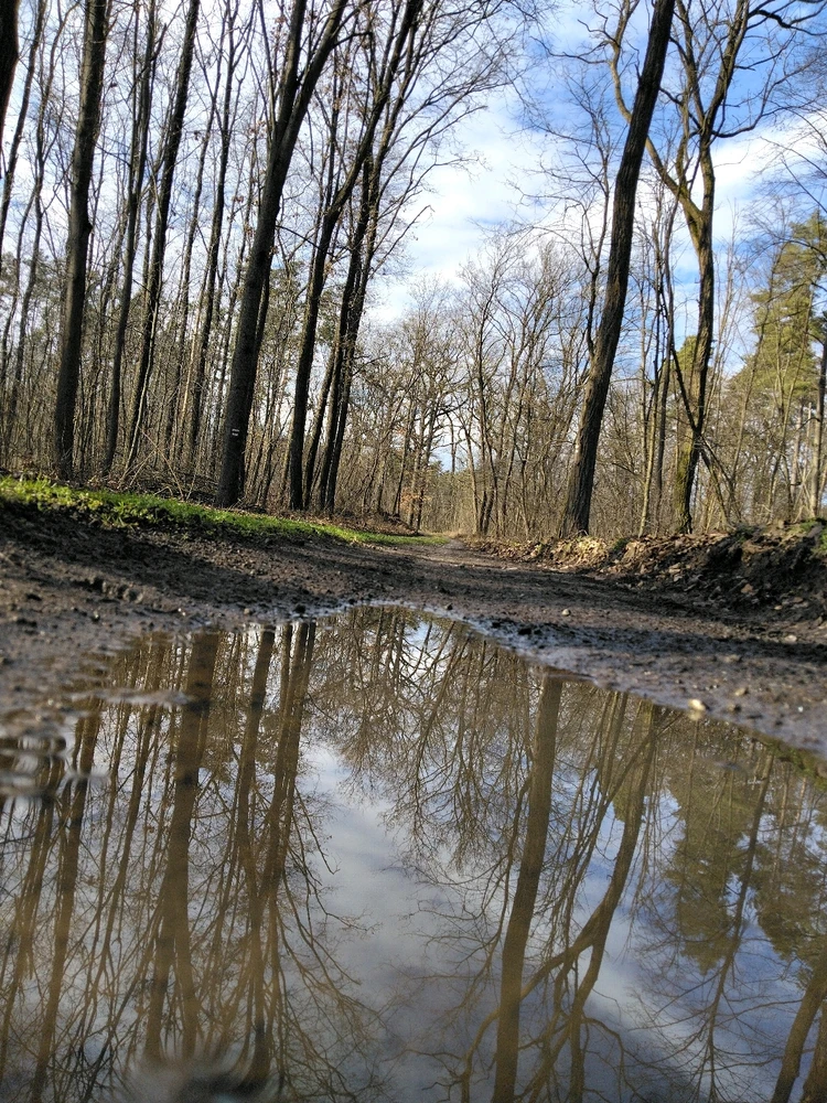 Obrázek nahrál Svatava