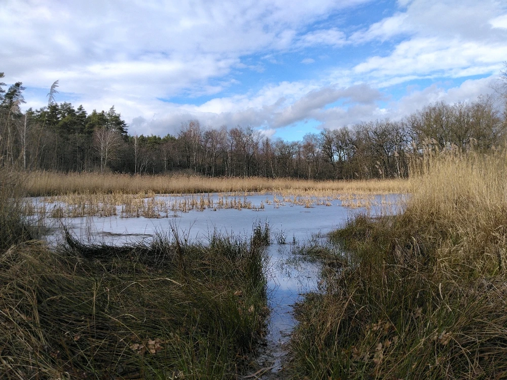 Obrázek nahrál Svatava