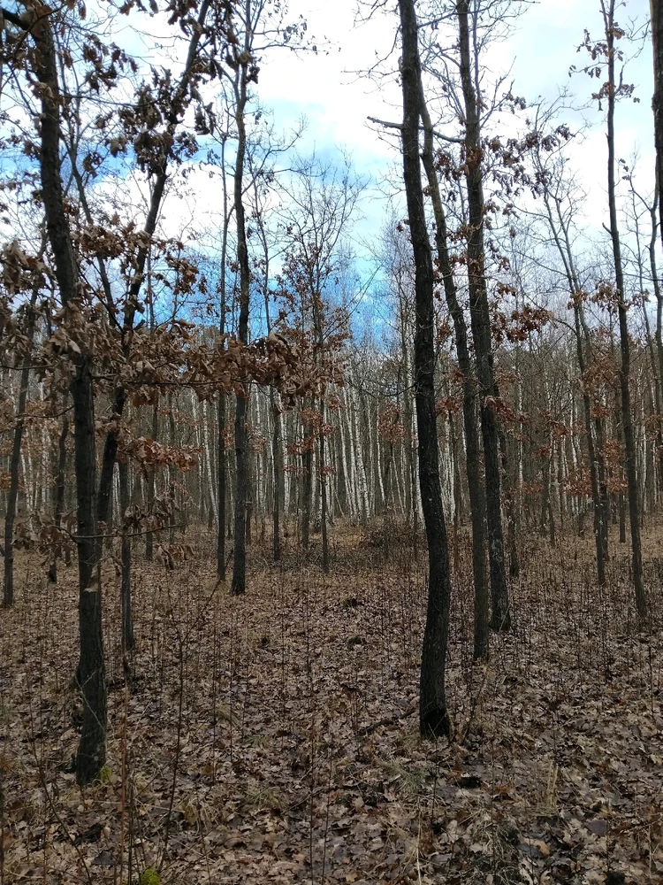 Obrázek nahrál Svatava
