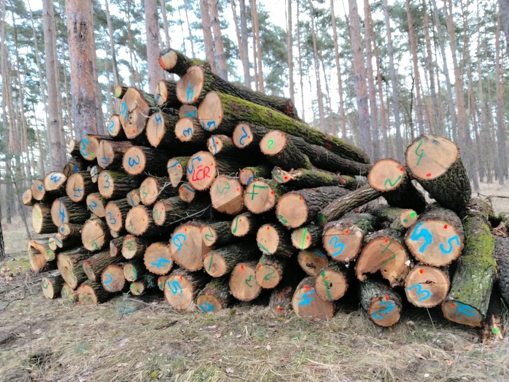 Obrázek nahrál Svatava