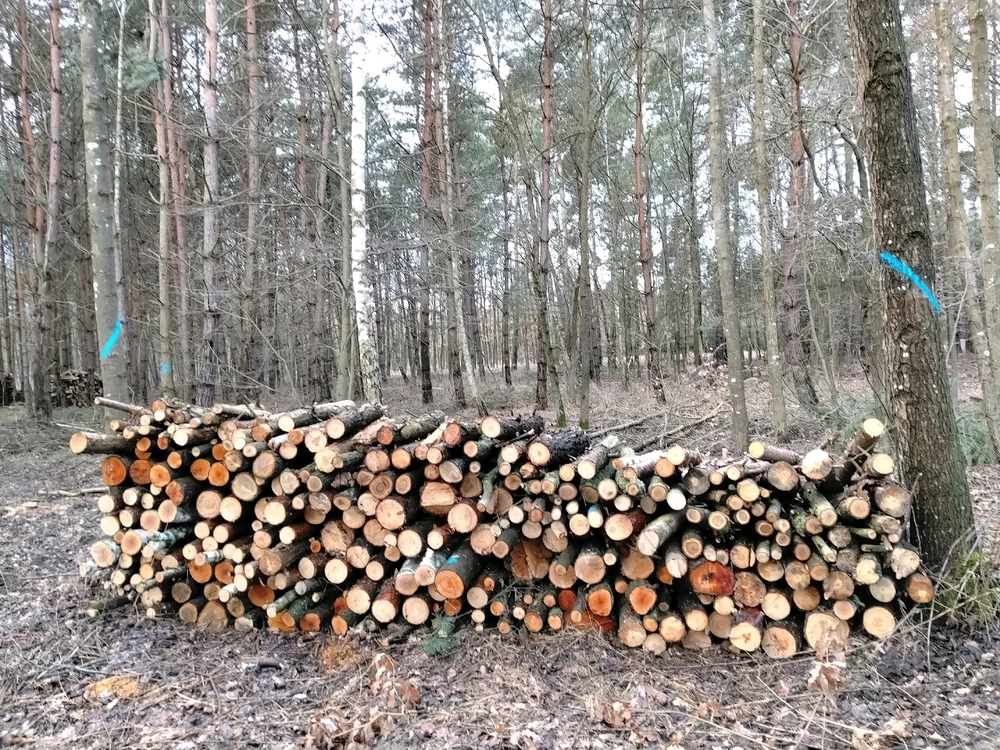 Obrázek nahrál Svatava