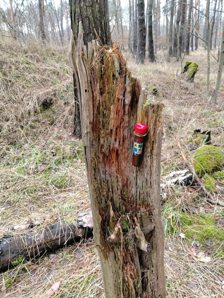 Obrázek nahrál Svatava