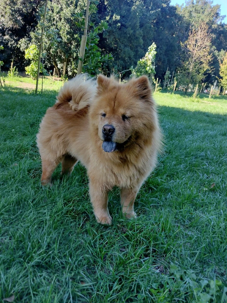 GIF subido por Antonia