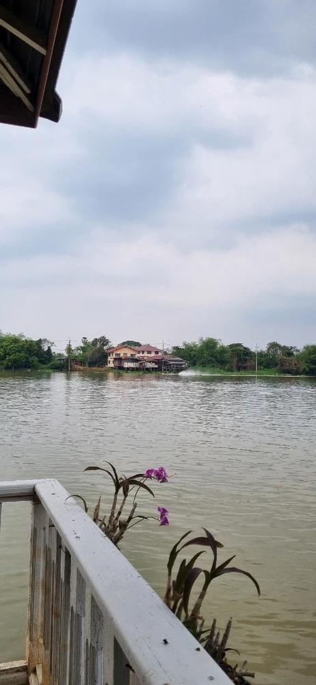 GIF อัปโหลดโดย Nara