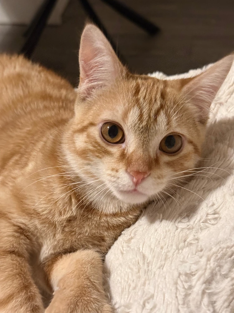 GIF uploaded by Lavinia