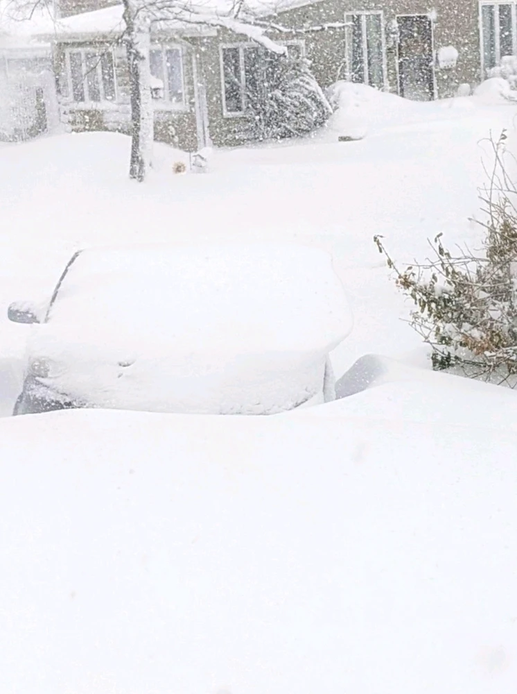 GIF uploaded by Melissa