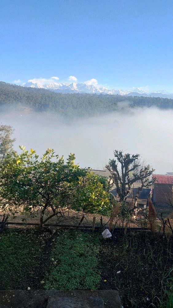 GIF uploaded by Manish Singh Barolia