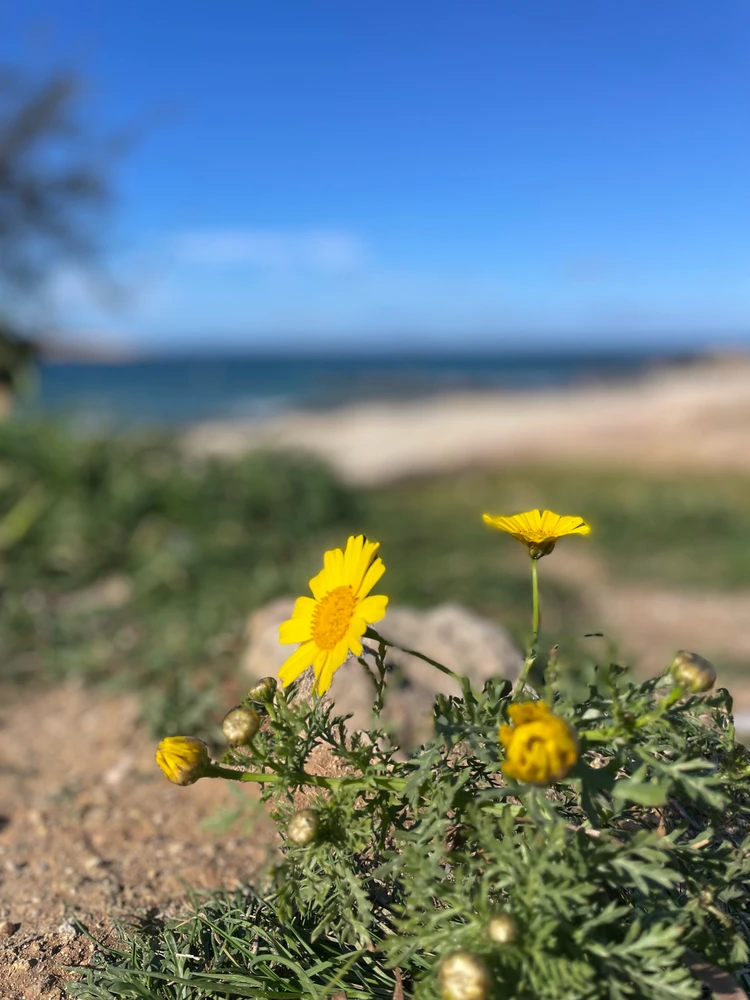 GIF uploaded by Lady D