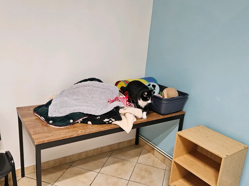 Image ajoutée par Geoffrey