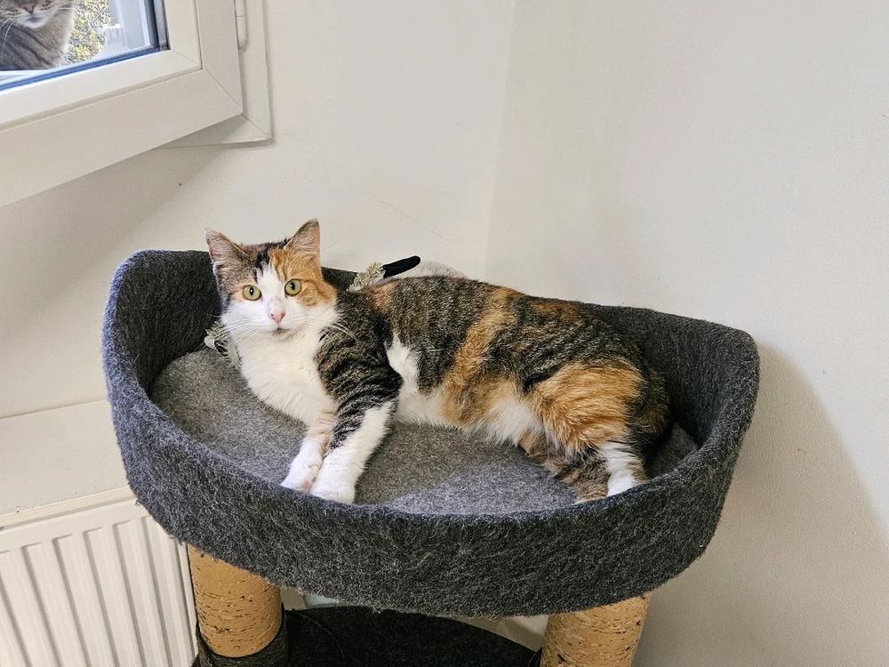 Image ajoutée par Geoffrey