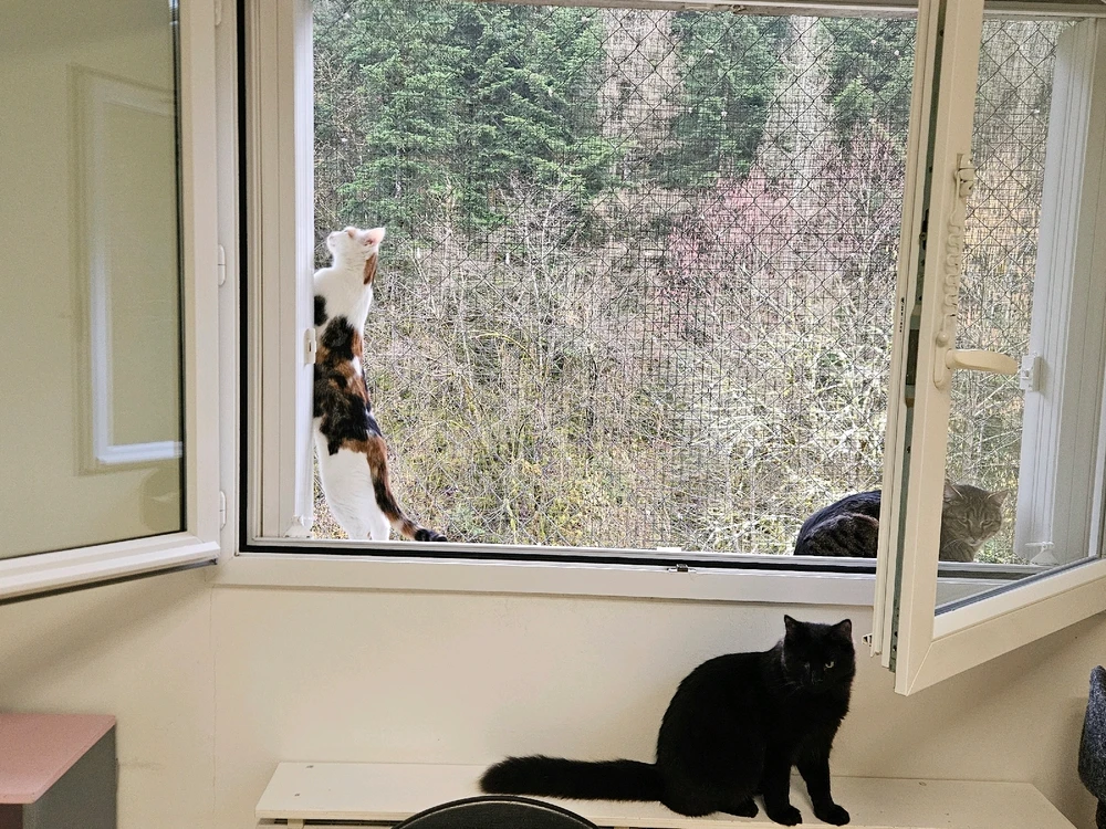 Image ajoutée par Geoffrey